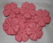 AS4E - 43mm Fig Seed Flower Petals 